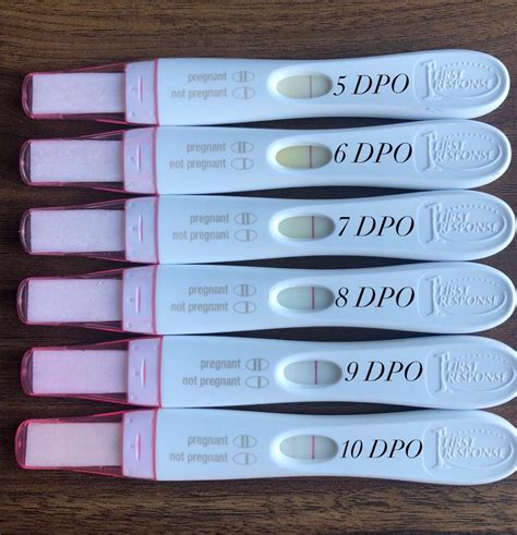 First response 5 dpo pregnancy test - Digital Pregnancy Test. Find out the earliest day you can take a pregnancy test. The sooner you know, the better. Try First Response's pregnancy calculator today!